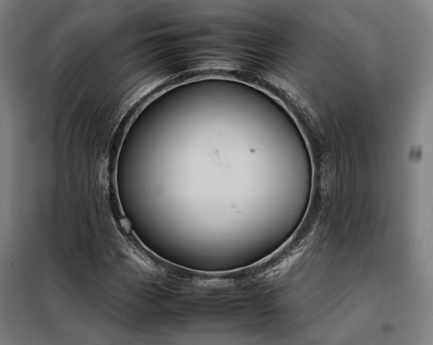 X0000098001113200804021025