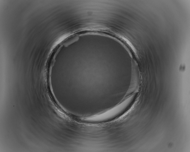 X0000098001114200804021025