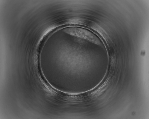 X0000098001115200804021025