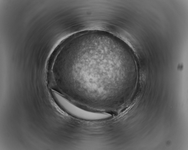 X0000098001116200804021025