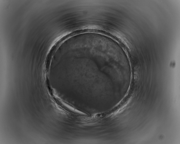 X0000098001117200804021025