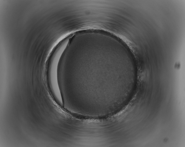 X0000098001118200804021025