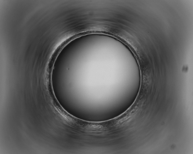 X0000098001119200804021025