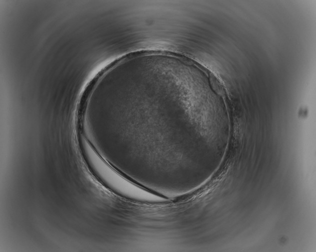 X0000098001120200804021025