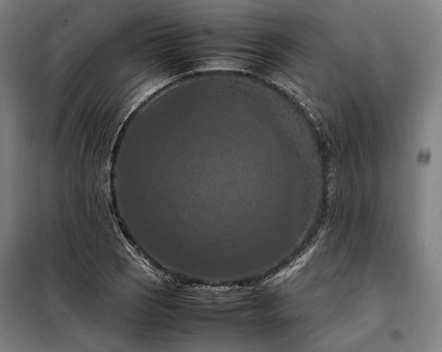 X0000098001121200804021025