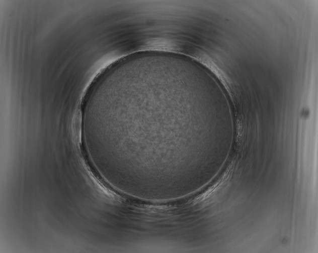X0000098001123200804021025