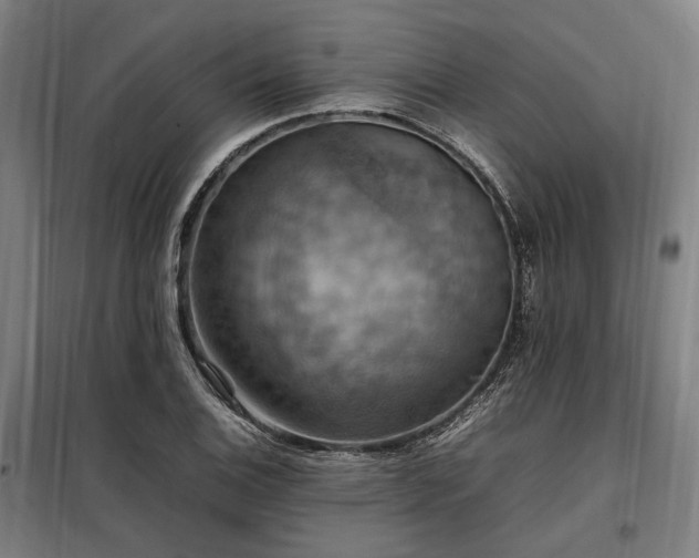 X0000098001124200804021025