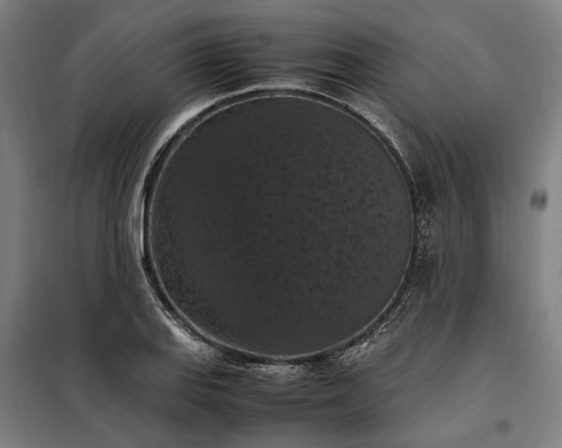 X0000098001127200804021025