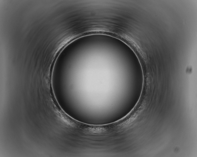 X0000098001129200804021025