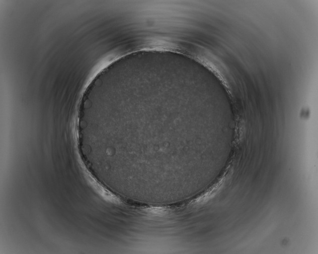 X0000098001130200804021025