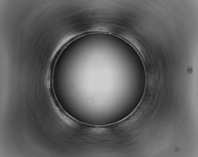 X0000098001131200804021025