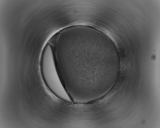 X0000098001132200804021025