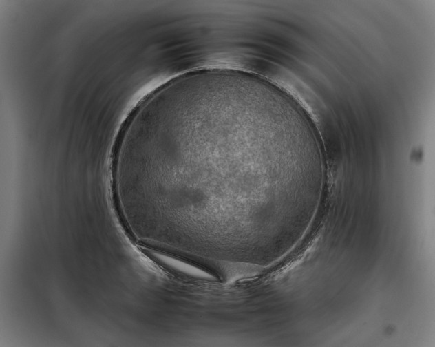 X0000098001133200804021025