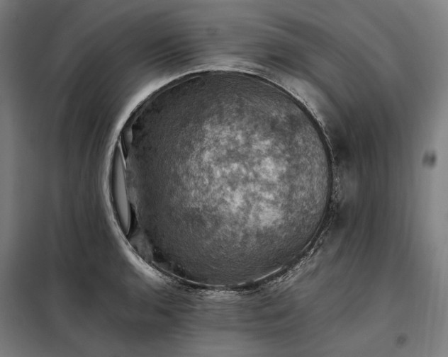 X0000098001136200804021025