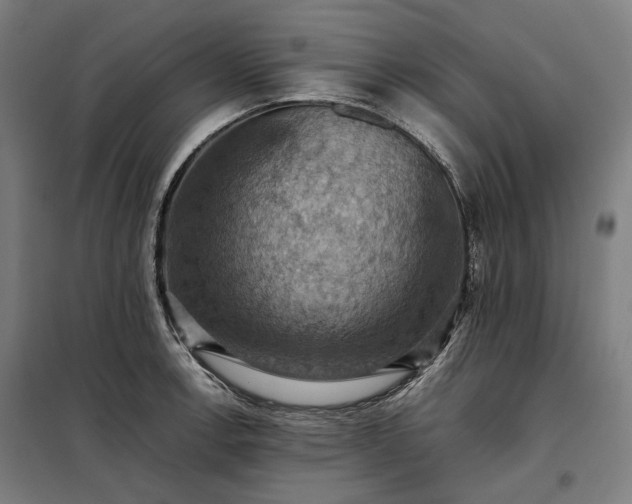 X0000098001138200804021025