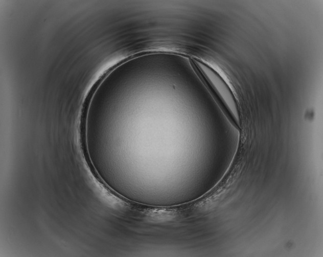 X0000098001139200804021025