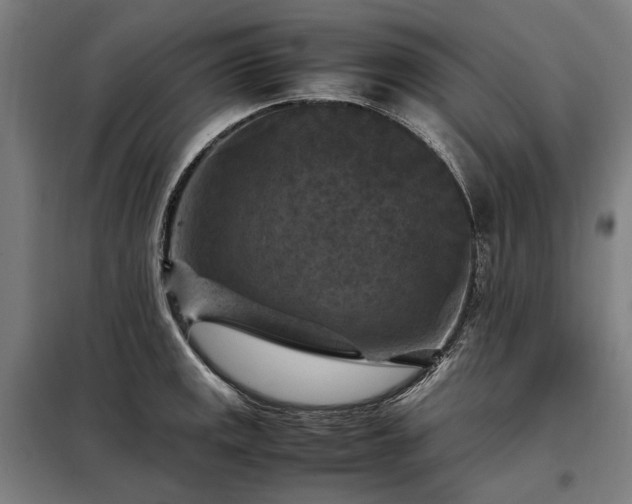 X0000098001141200804021025