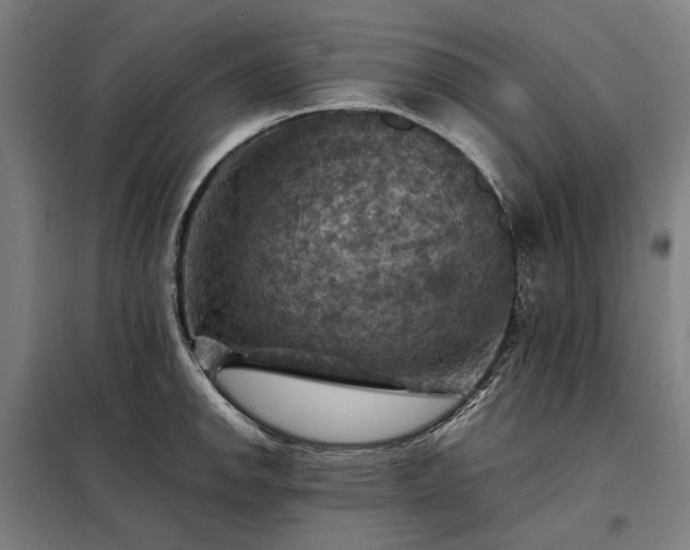 X0000098001142200804021025