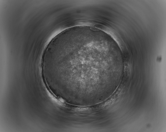 X0000098001143200804021025