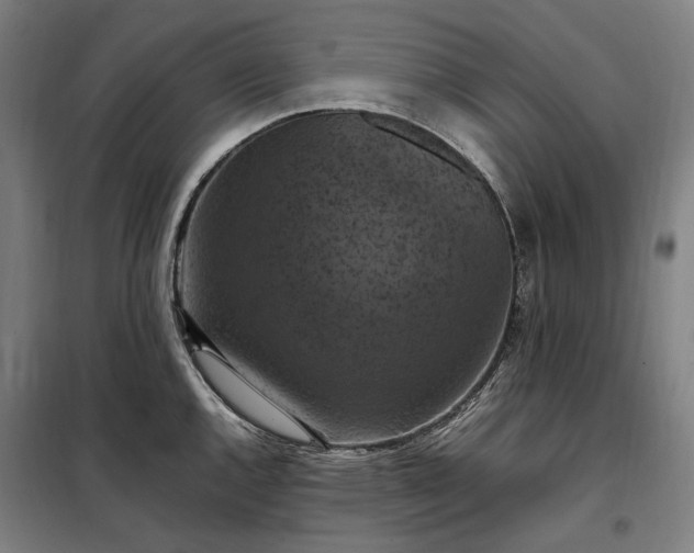 X0000098001144200804021025