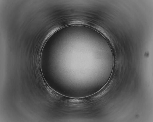 X0000098001145200804021025