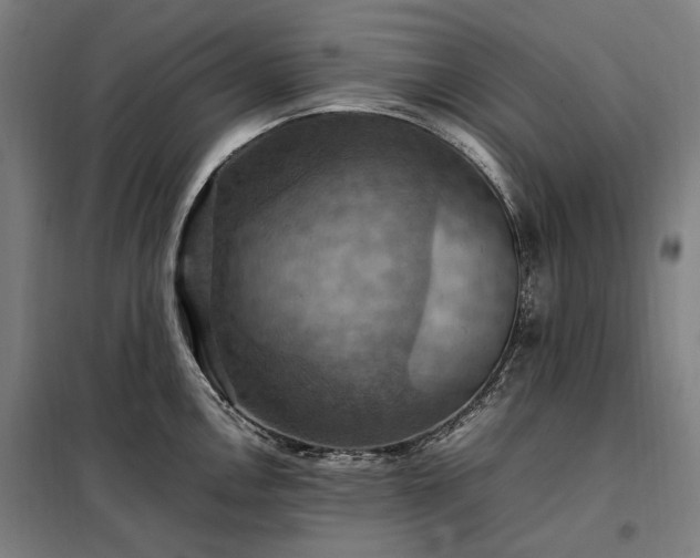 X0000098001146200804021025