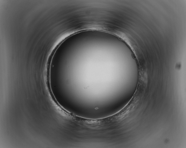 X0000098001147200804021025