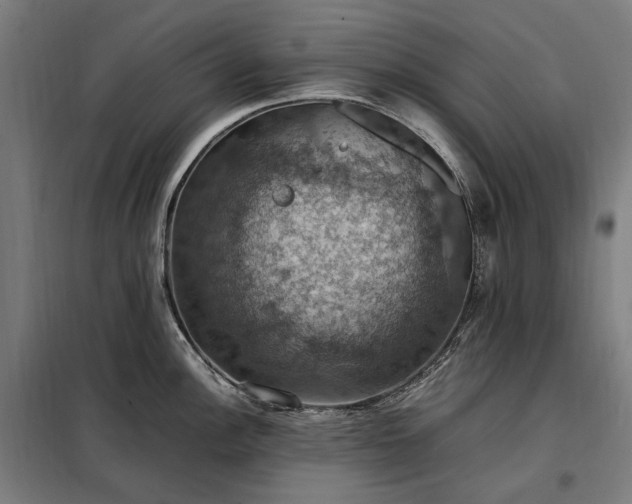 X0000098001148200804021025