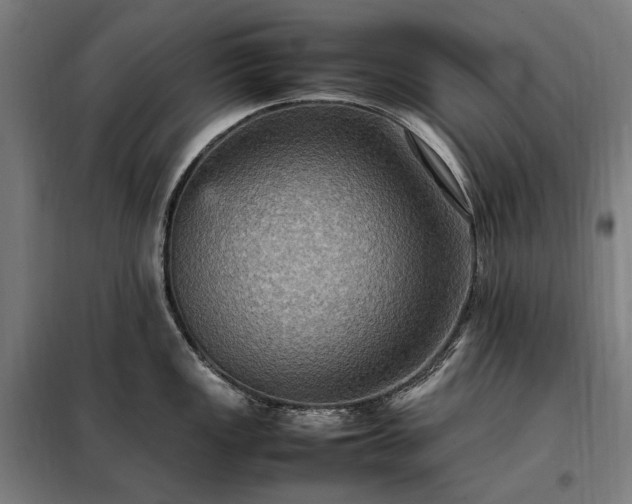 X0000098001149200804021025
