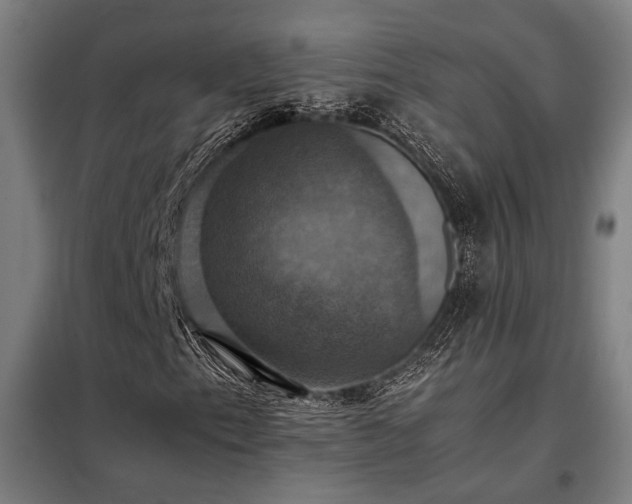 X0000098001153200804021025