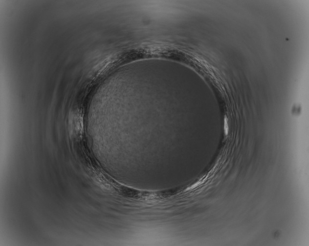 X0000098001155200804021025