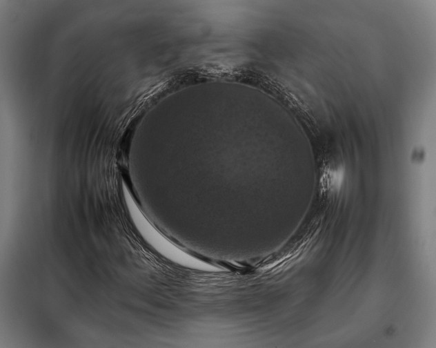 X0000098001156200804021025