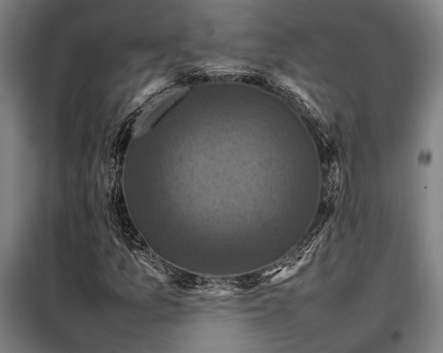 X0000098001157200804021025