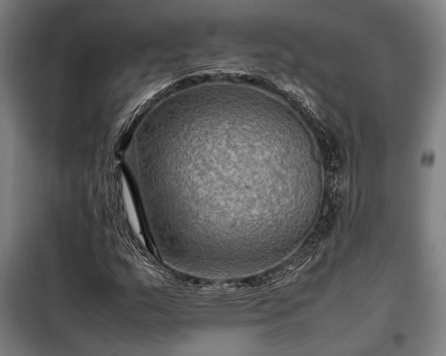 X0000098001159200804021025