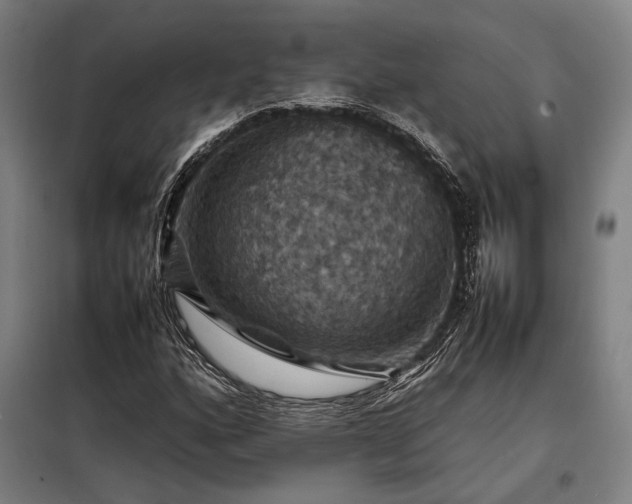 X0000098001160200804021025