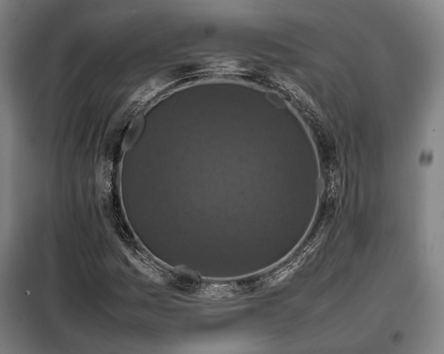 X0000098001161200804021025
