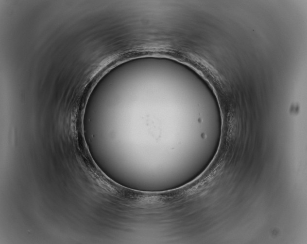 X0000098001162200804021025