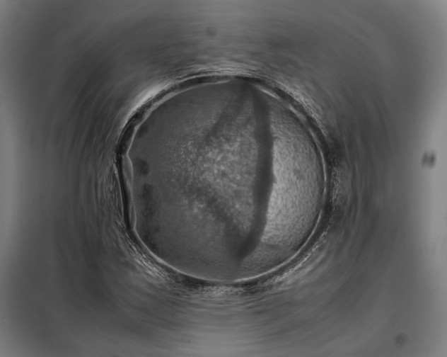 X0000098001163200804021025