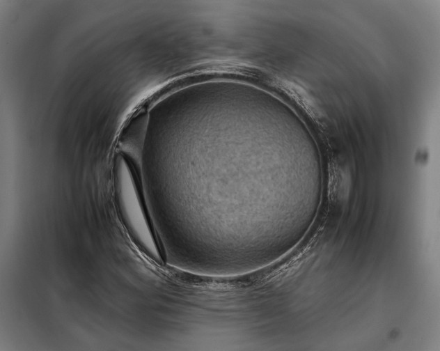 X0000098001164200804021025