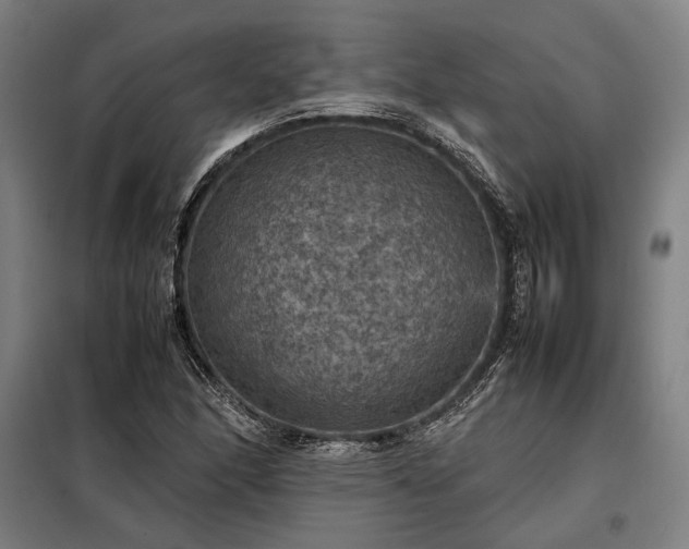 X0000098001166200804021025