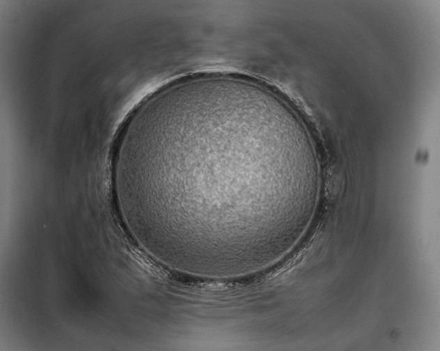 X0000098001167200804021025