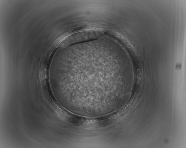 X0000098001169200804021025