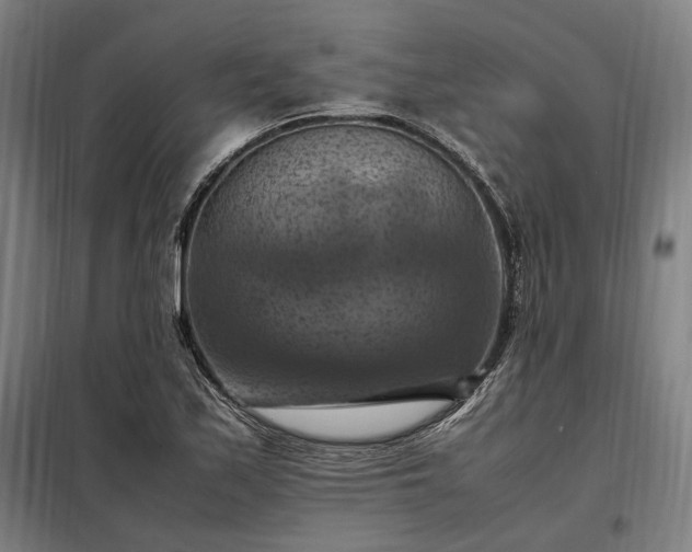 X0000098001171200804021025