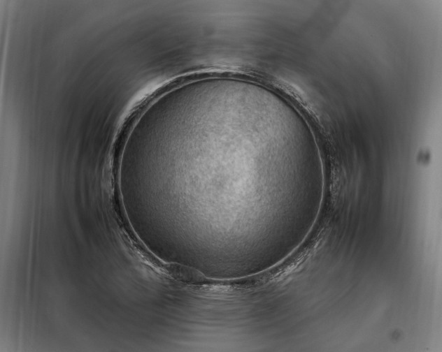 X0000098001172200804021025