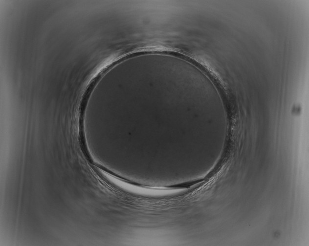 X0000098001173200804021024