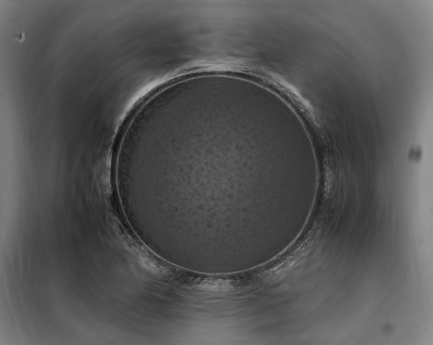 X0000098001174200804021024