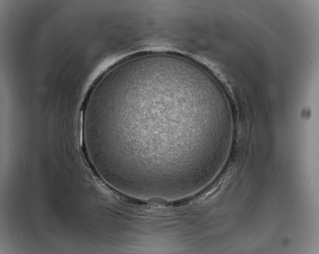 X0000098001175200804021024
