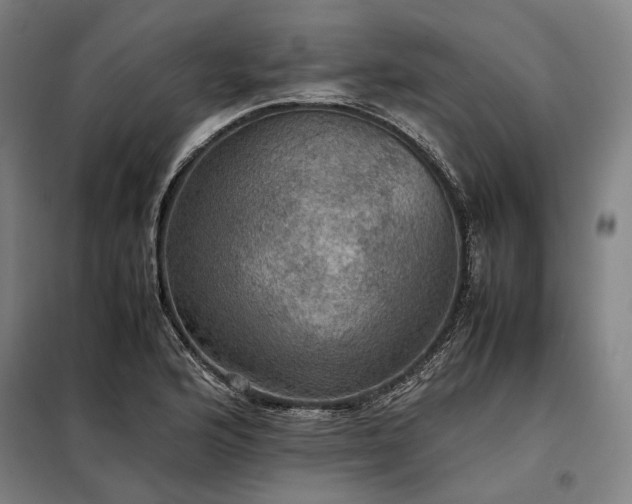 X0000098001176200804021024