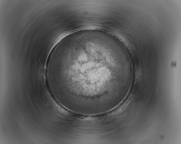 X0000098001178200804021024