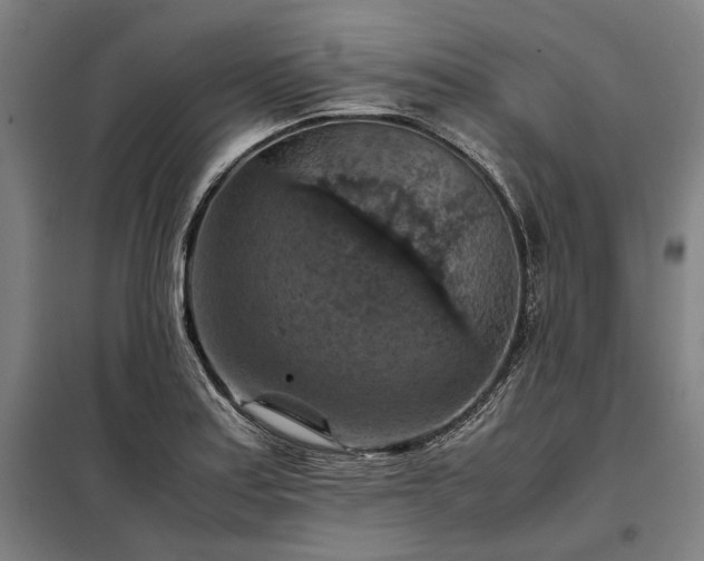 X0000098001179200804021024